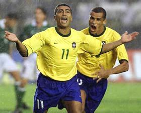 他们提供了 他们提供了